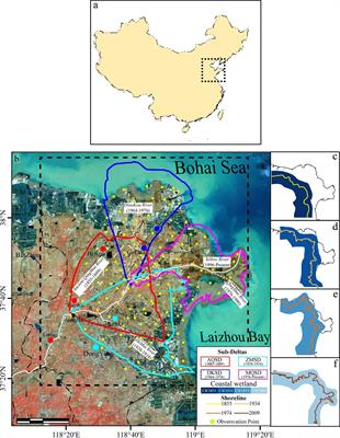 Investigating the evolution of landscape patterns in historical subdeltas and coastal wetlands in the Yellow River Delta over the last 30 years: A geo-informatics approach